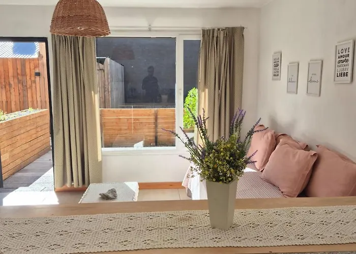 Departamento Siena - Salepatagonia